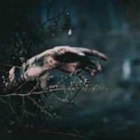 witchofthedarkness