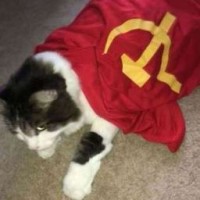 made-in-russiaxd