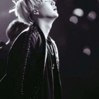 1992jun