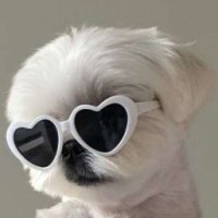 no-love