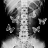 butterflyheart718