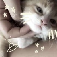 moonfloweritverycool