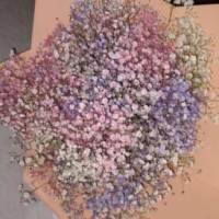 vitalina-6