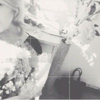 dream-29