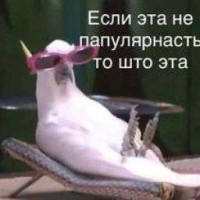 dazai-copy