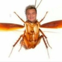 nininikich