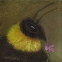 chmelulyana