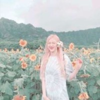 sunflowerlipa