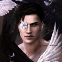 robertmoon709
