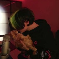 neko-weles