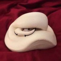 beautiful-snake-666