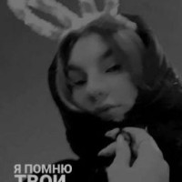 sswwqsqx