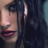 ana-vogel