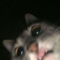 evilkit