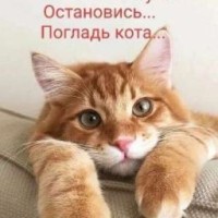 sasa2222222pppppp