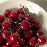 cherryyw1