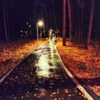 olya-lipa