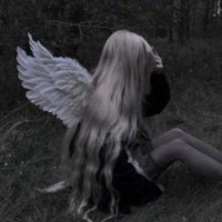 user65010148