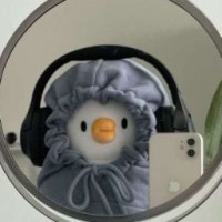 minidiana44