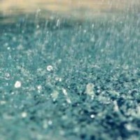 lelyarain