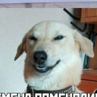 grebanyj-fokusnik