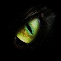 madarkus