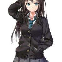 julia-mir