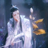 lan-xichen-888