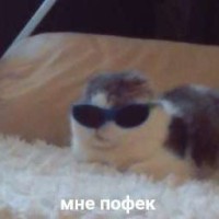 gora-problem