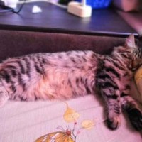 lily080808