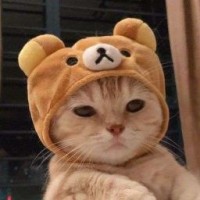 anastaishn4