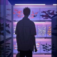 twilight-august
