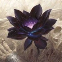 black-lotus24