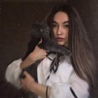 vvkk777
