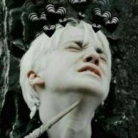 polnyibred