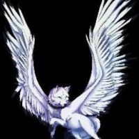 user53185135