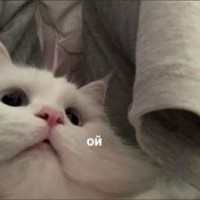 heyklyo