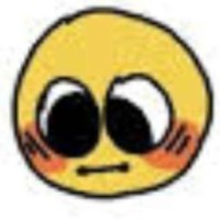 user43060495