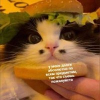 alaislaitdark