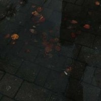 puddle228