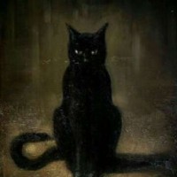nighty-cat