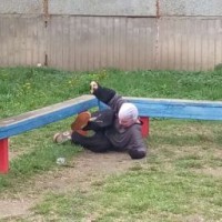 narsi-nsr