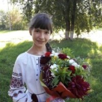 nastar245