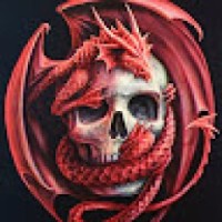 user03235199