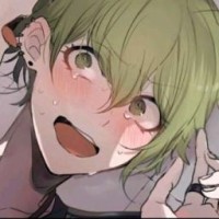 avocadololi