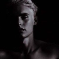 dracmvlfoy