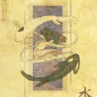 dqlllv