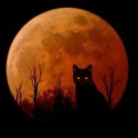 wolfredlune