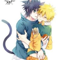 user17421629