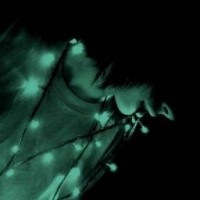 woolf-akura
